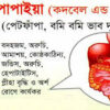 কেরিকা পাপাইয়া - Image 2